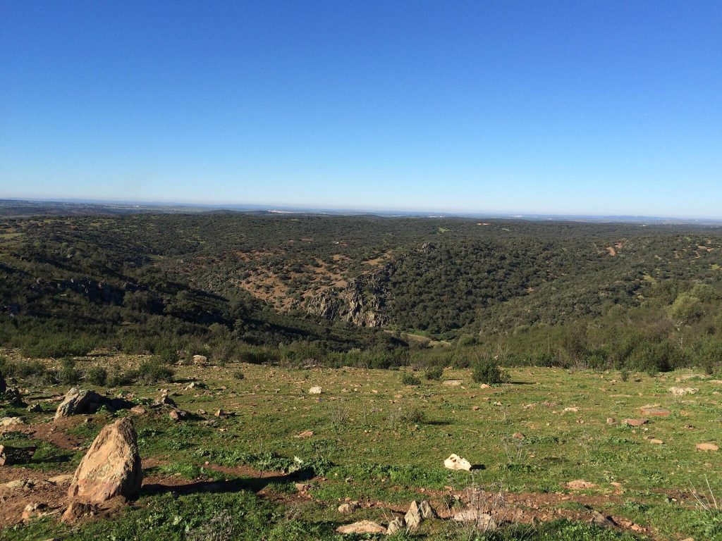 Paisaje de dehesa en Valencia del Mombuey, Badajoz