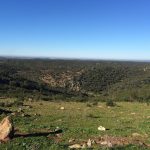 Paisaje de dehesa en Valencia del Mombuey, Badajoz